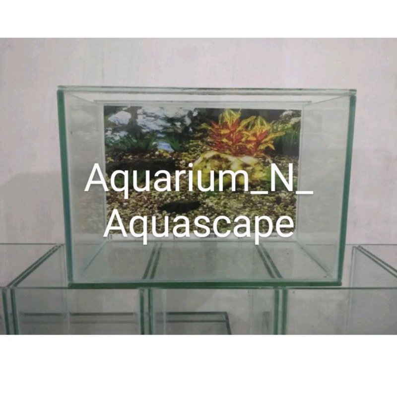 Aquarium 30x15x20 background