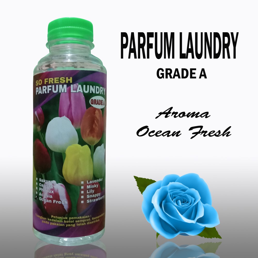 PARFUM LAUNDRY GRADE A AROMA OCEAN FRESH 250 ML