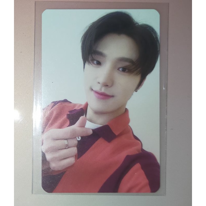 Dino Benefit soundwave semicolon