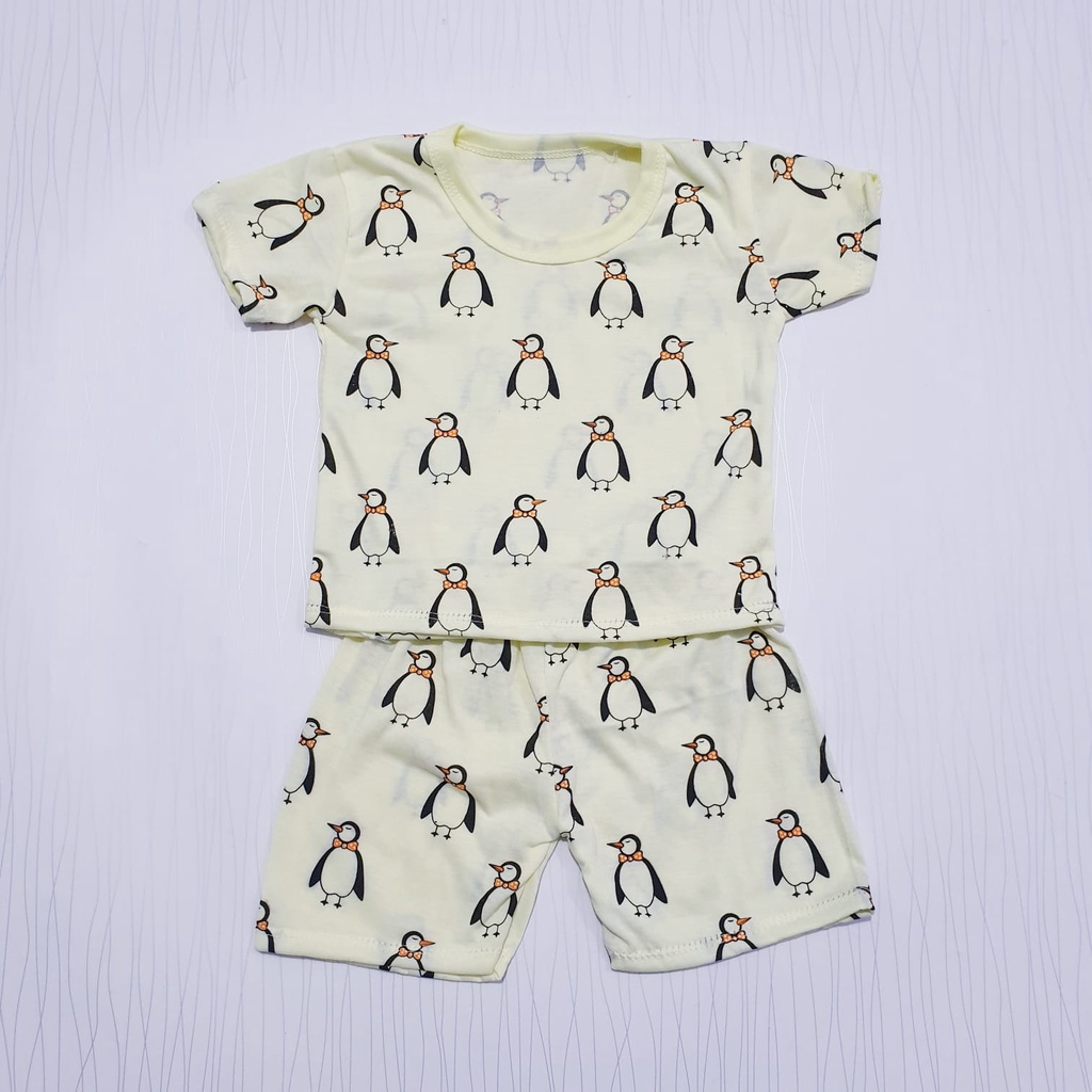 Setelan Anak Motif Pinguin 0-12 Bulan Cyandclothing