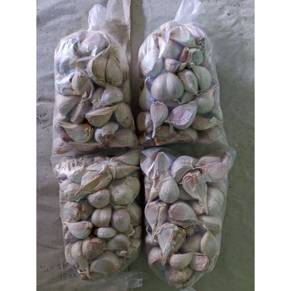 

Bawang Kating