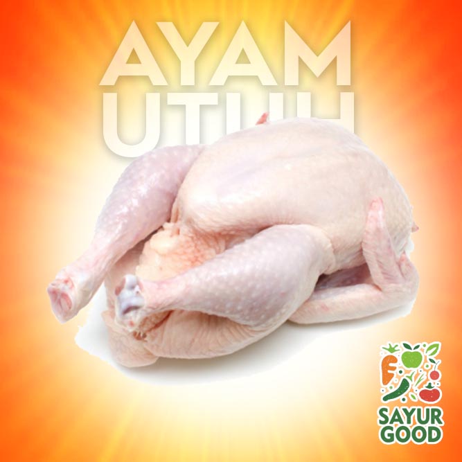 

Ayam Utuh / Ayam Beku / Ayam Frozen / Ayam Karkas 1.3 Kg Up