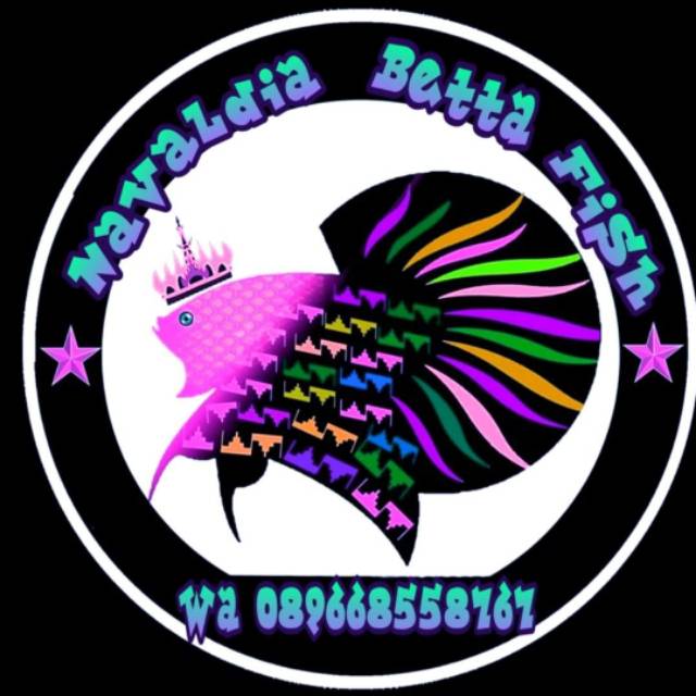 navaldia_betta
