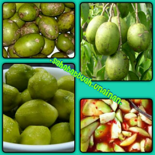 

kedondong super#buah#makanan#vitamin