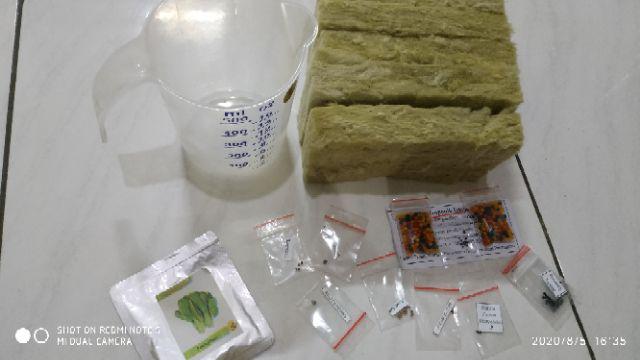 Benih Bibit Biji Kale Nero Lacinato Kemasan Alumunium Foil