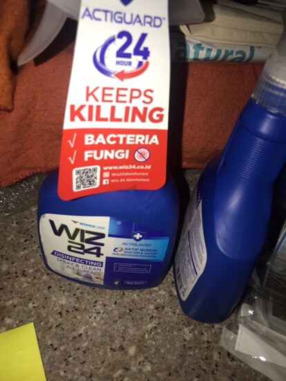 Wiz 24 Disinfectan Spray Btl 450 Ml
