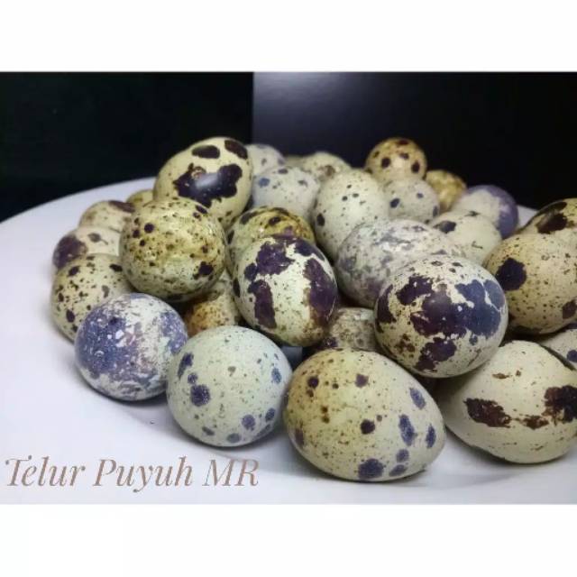 

Telur puyuh mentah