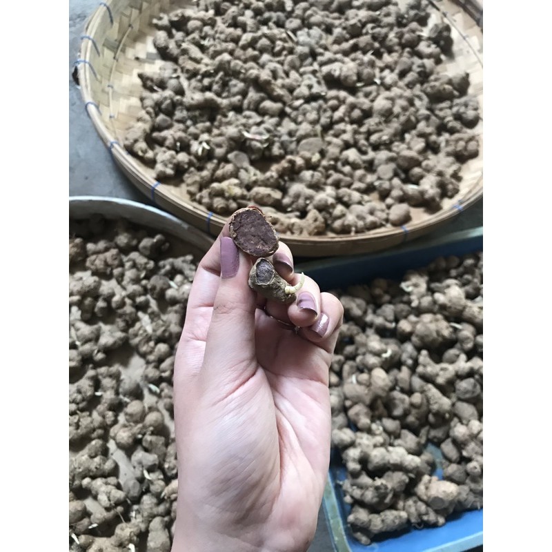 

kunyit hitam kaempveria parviflora. 1kg