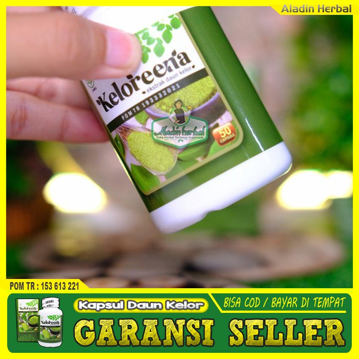 COD - Obat impotensi Diabetes - Inpoten, Disfungsi Ereksi, Ejakulasi Dini, Lemah Syahwat - Keloreena-1