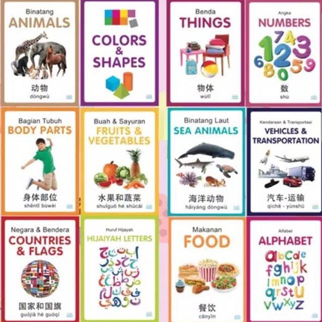 

Flash card gambar real / flash card uk. besar