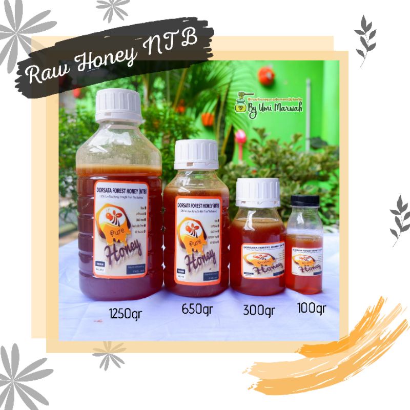 

Raw Honey Sumbawa 100gr / Madu Asli / Madu Murni