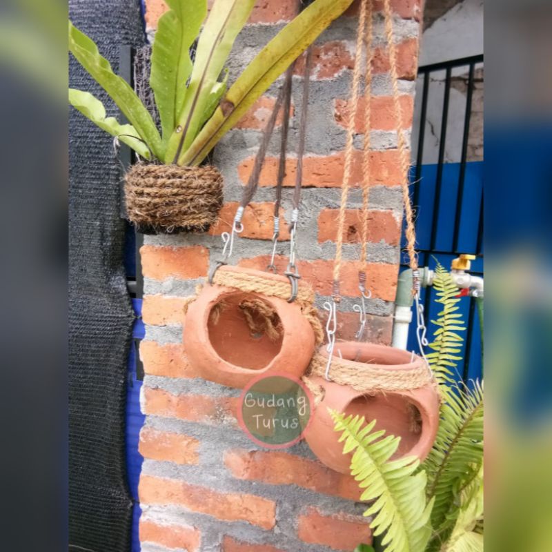 Pot Gerabah Gantung Anggrek | Homemade Pot Tanah Liat Tanaman Hias