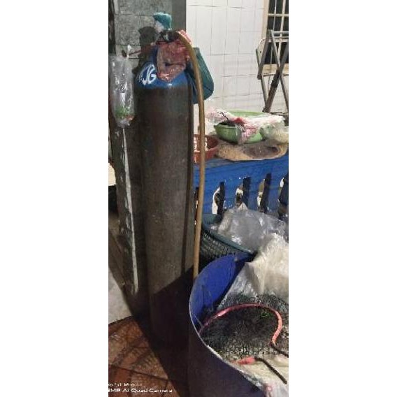 

DISKON BRANDS FESTIVAL Ikan lele segar 1kg