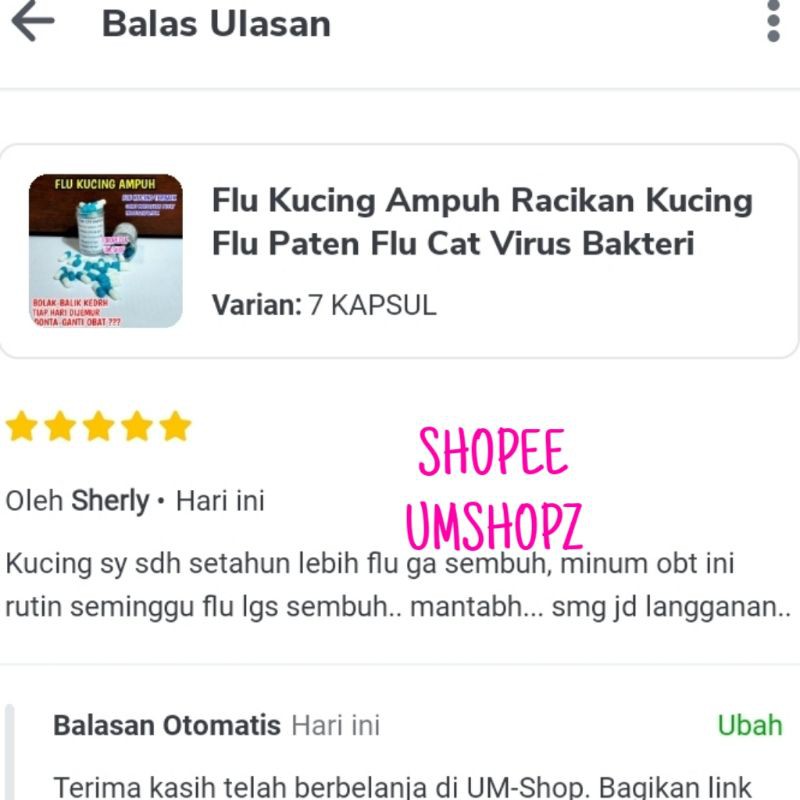 Flu Kucing Ampuh Paten Flu Care Kucing Flu Paten Flu Cat Virus Bakteri Kucing