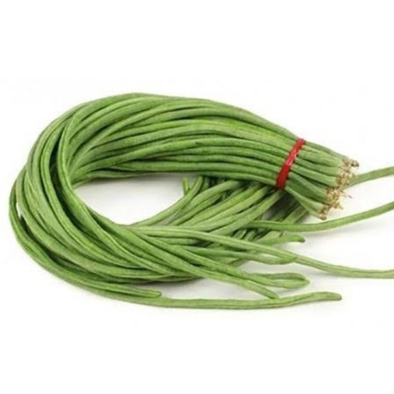 

KACANG PAJANG 1 PACK/SAYUR KACANG PANJANG FRESH