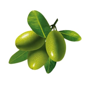 

Collagen delima