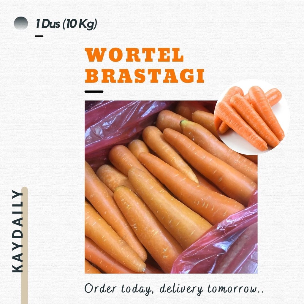 

WORTEL BERASTAGI BRASTAGI 1 DUS GROSIR