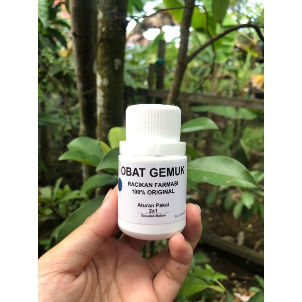 

Obat gemuk ( termurah )