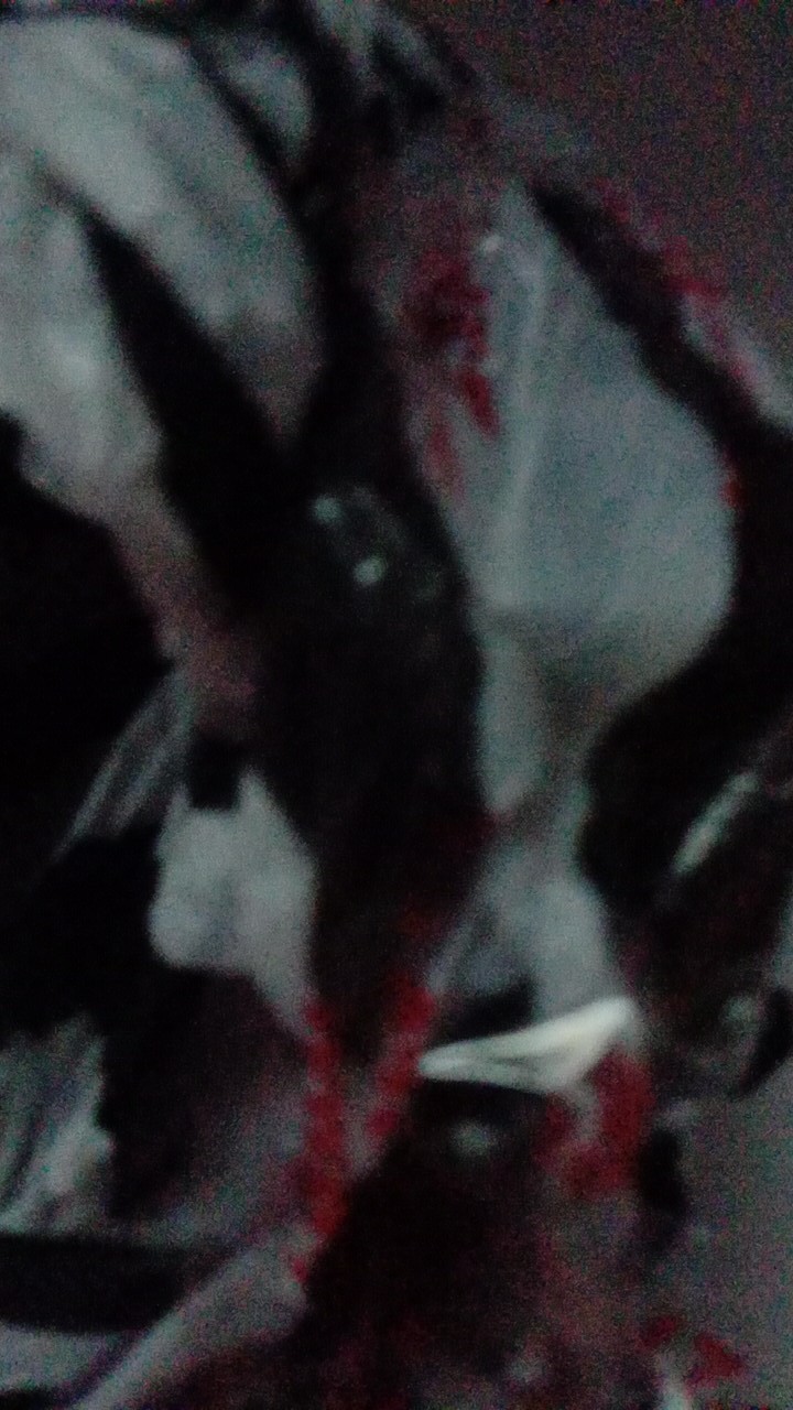 Batik Proboseto Kuning Kemeja Batik Pria Lengan Panjang By Florist