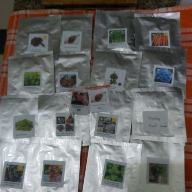 Biji Benih Sayur Bayam Merah