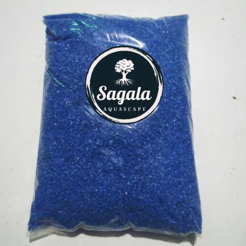 Pasir Biru aquascape