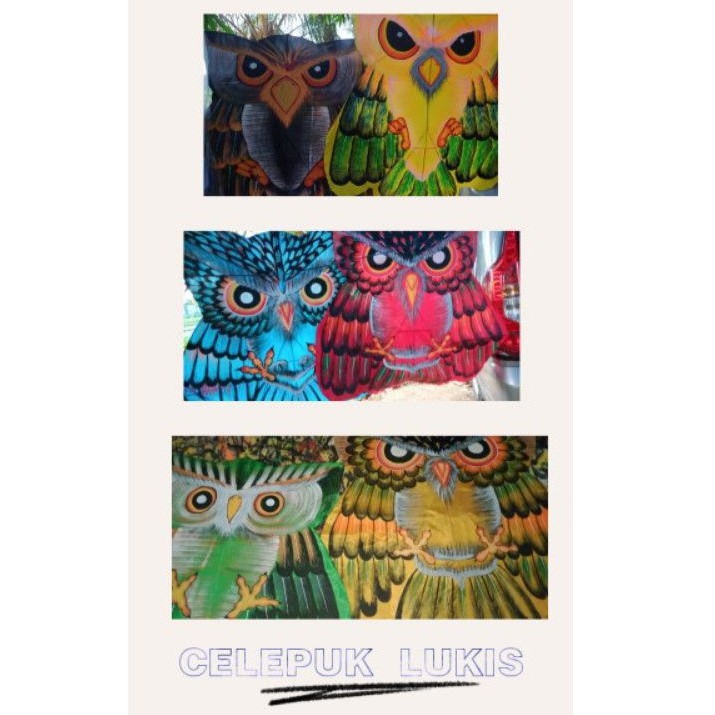 CELEPUK LUKIS vs CELEPUK PRINT. LAYANGAN KNOCKDOWN CELEPUK BURUNG HANTU