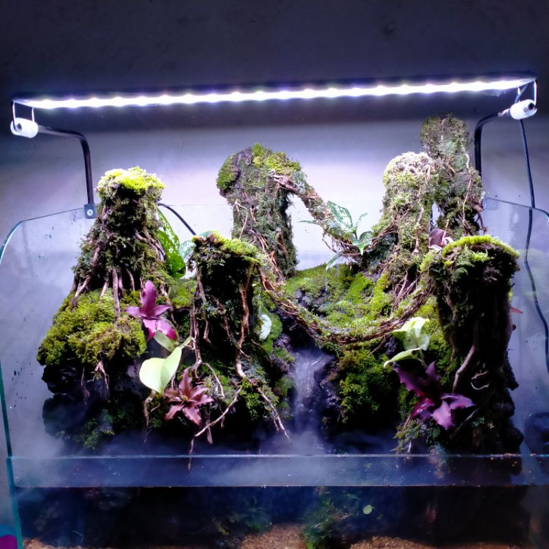 paludarium design fullset