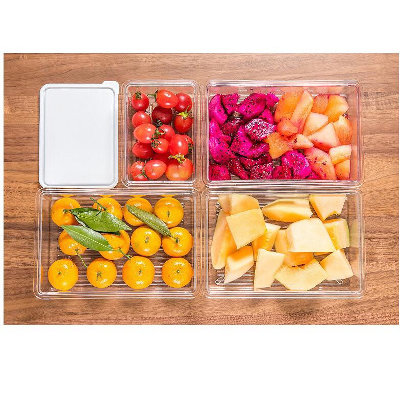 Freshly Food Containers Kotak Makanan