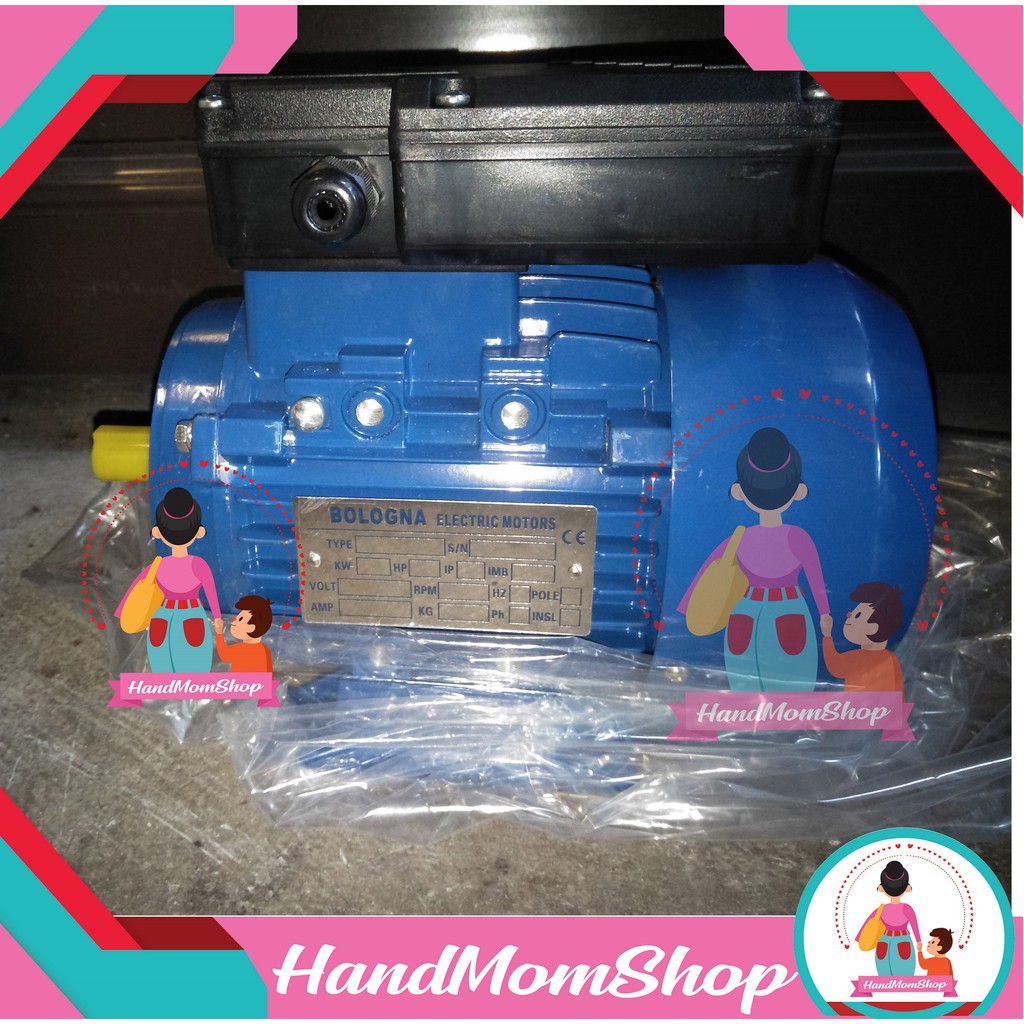MESIN DINAMO MOTOR BOLOGNA 2 HP 3 PHASE 2 POLE