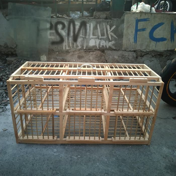 KANDANG BURUNG DARA ATAU DONGDANG ~< READYSTOCKKK >~
