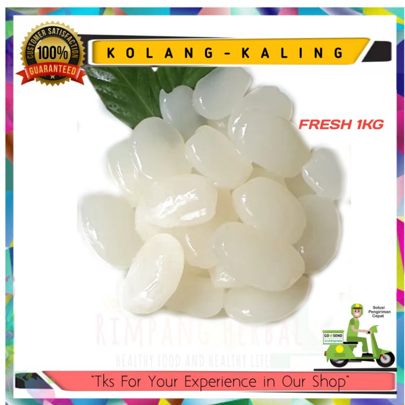

Kolang-kaling | Size jumbo | 1KG Super Fresh