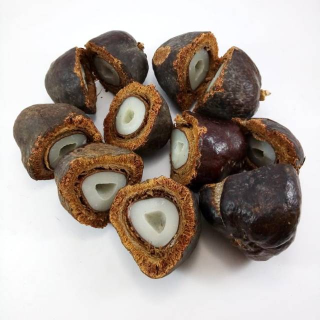 

BUAH ZURIAT MADINAH (KILOAN)