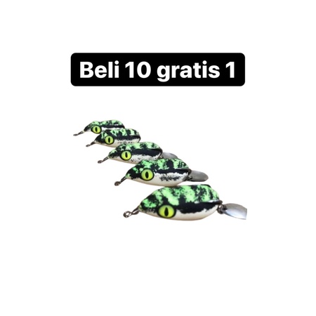 umpan sofrog canting gabus