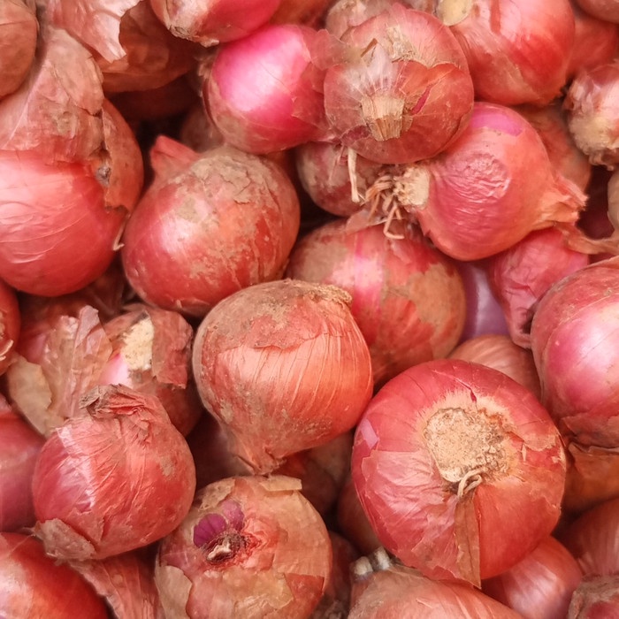 

Termurah Bawang Merah Bantaeng Sulawesi Pasar Online Makassar