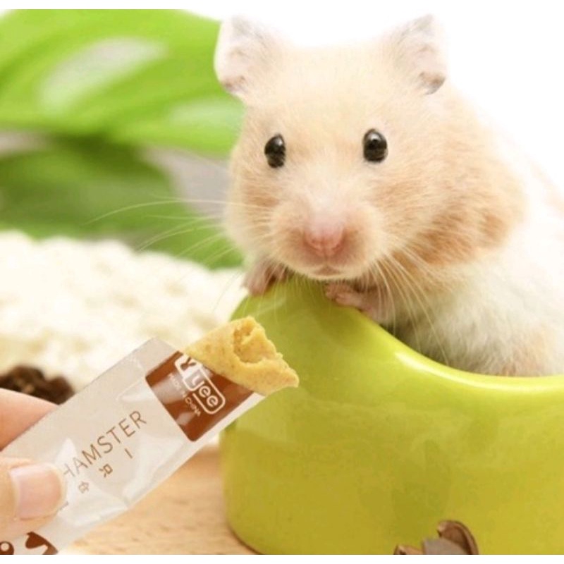 Nutrisi Hamster Snack Makanan ringan Hamster Penggemuk Full Nutrisi