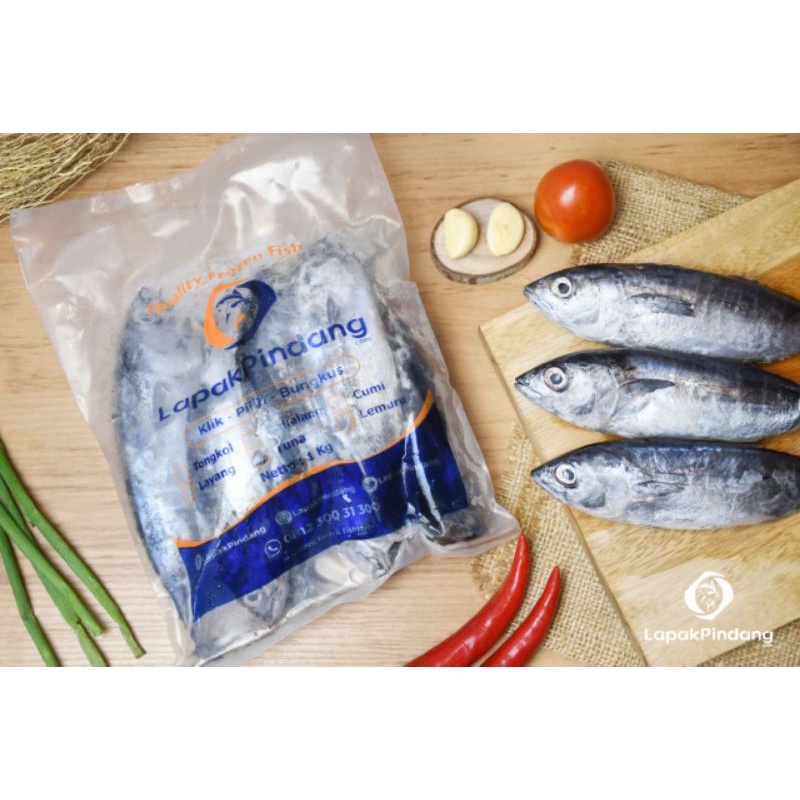 

frozen Tuna segar