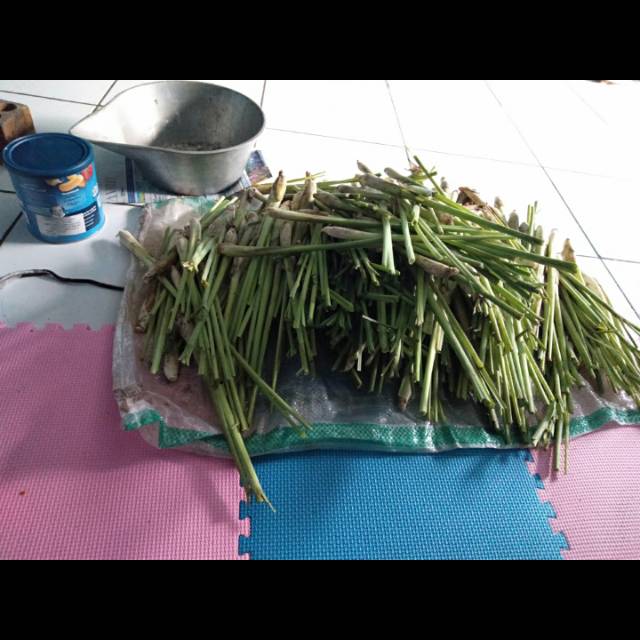 

Sereh per kg
