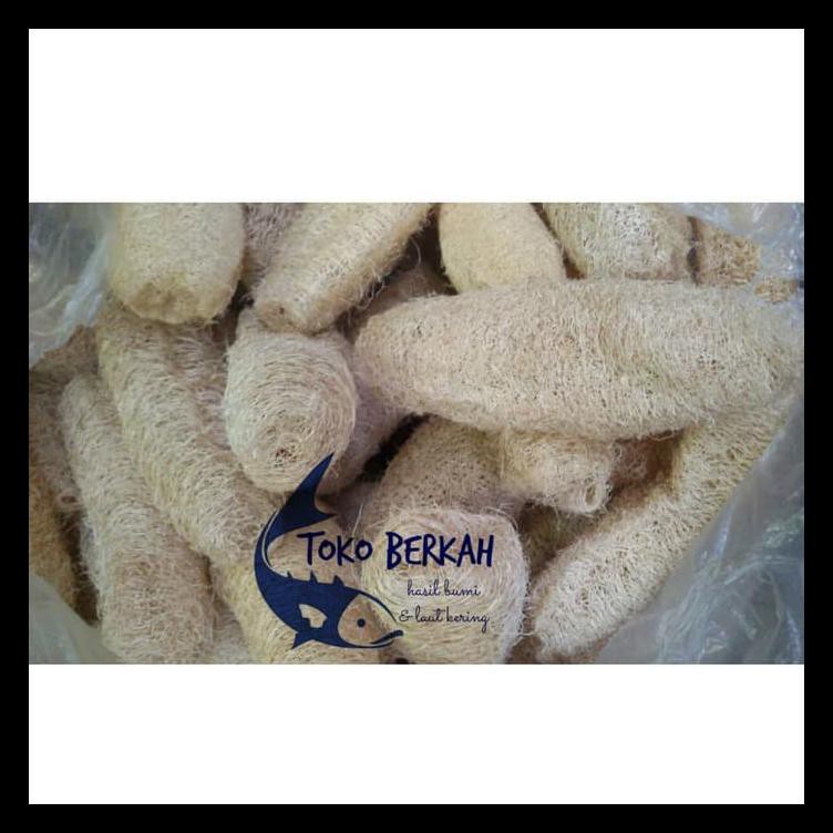 Sabut Oyong - Serat Oyong - Bath Sponge - Sabut Cuci Piring - Medium Termurah