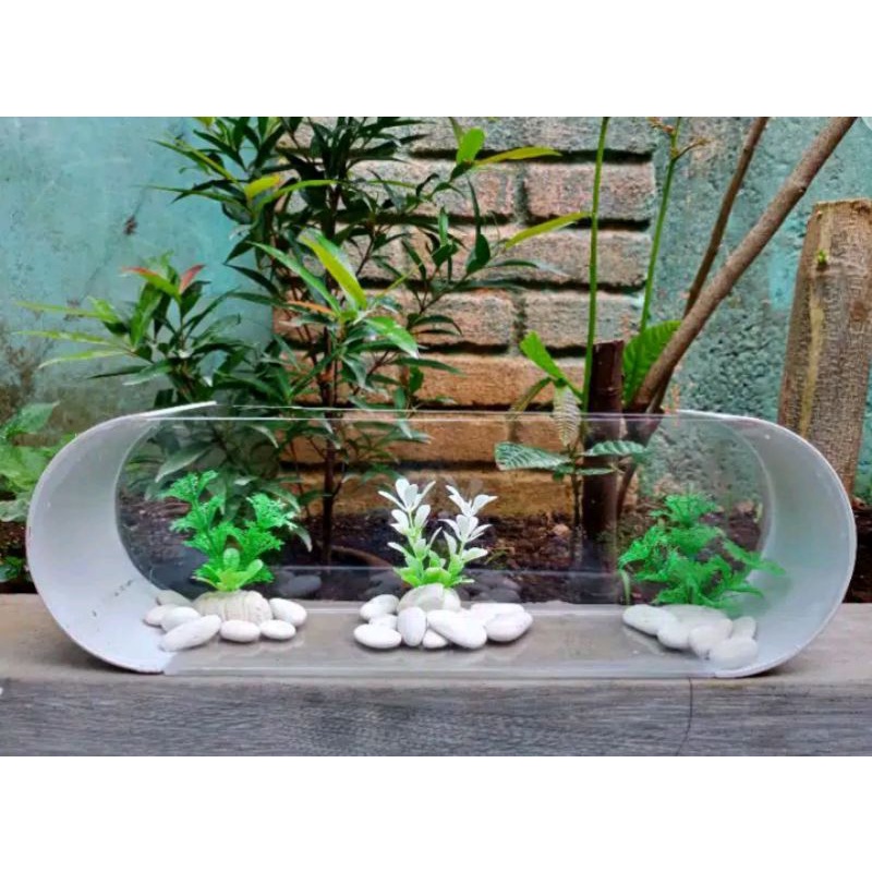 aquarium mini unik akrilik pvc oval cupang,gapi,neon,ikan hias