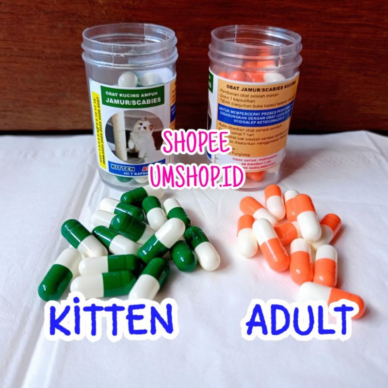 Vitamin Kucing Obat Jamur Scabies Paling Ampuh