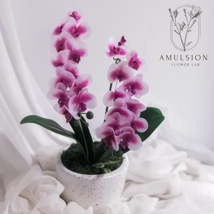 Bunga Anggrek Artificial Premium Import Latex Set Pot Terracotta