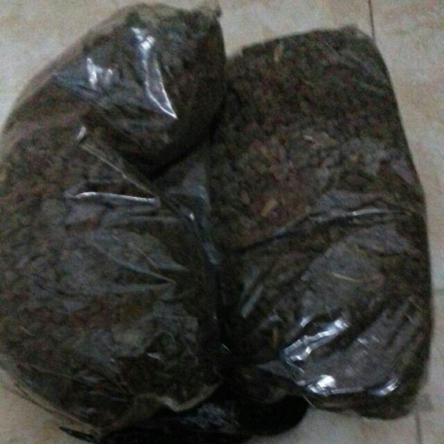 Pupuk Kompos Kotoran Kambing