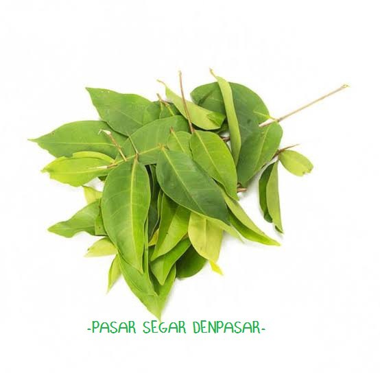 

DAUN SALAM PAKET 2RIBU