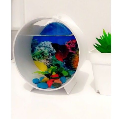 aquarium mini cupang/aquarium gantung/dekorasi dinding/akrilik-pvc