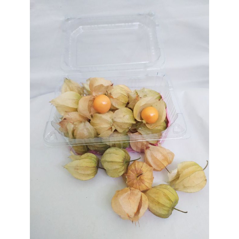 

Buah ciplukan-cecendet-goldenbery 100gr