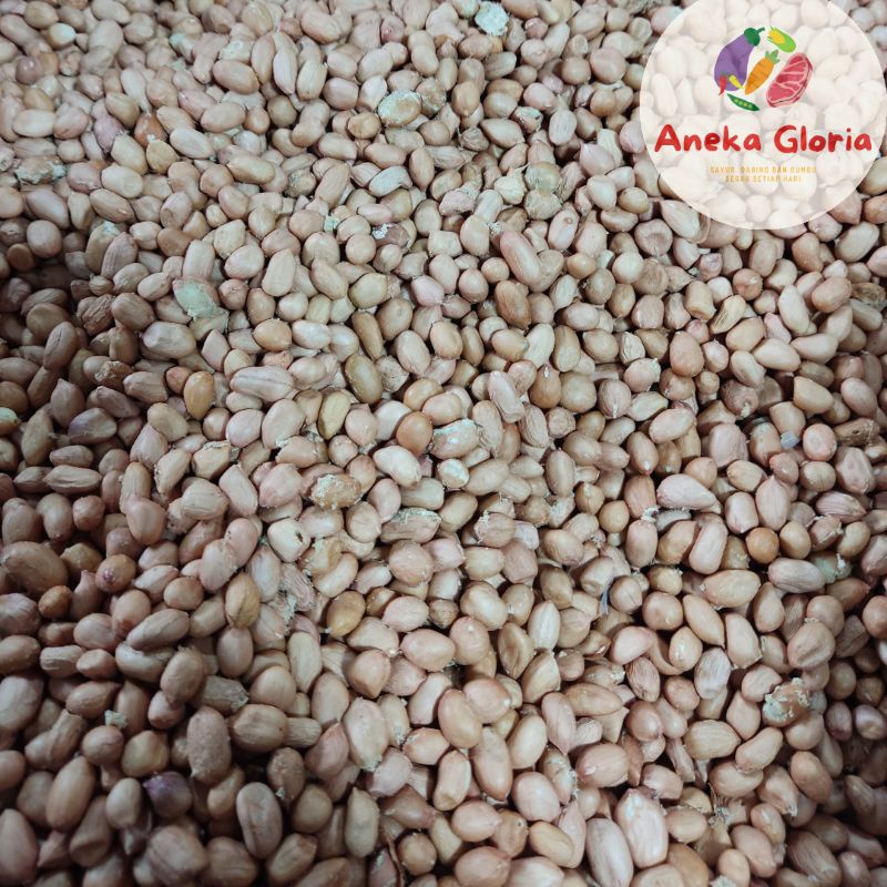 

Kacang Tanah