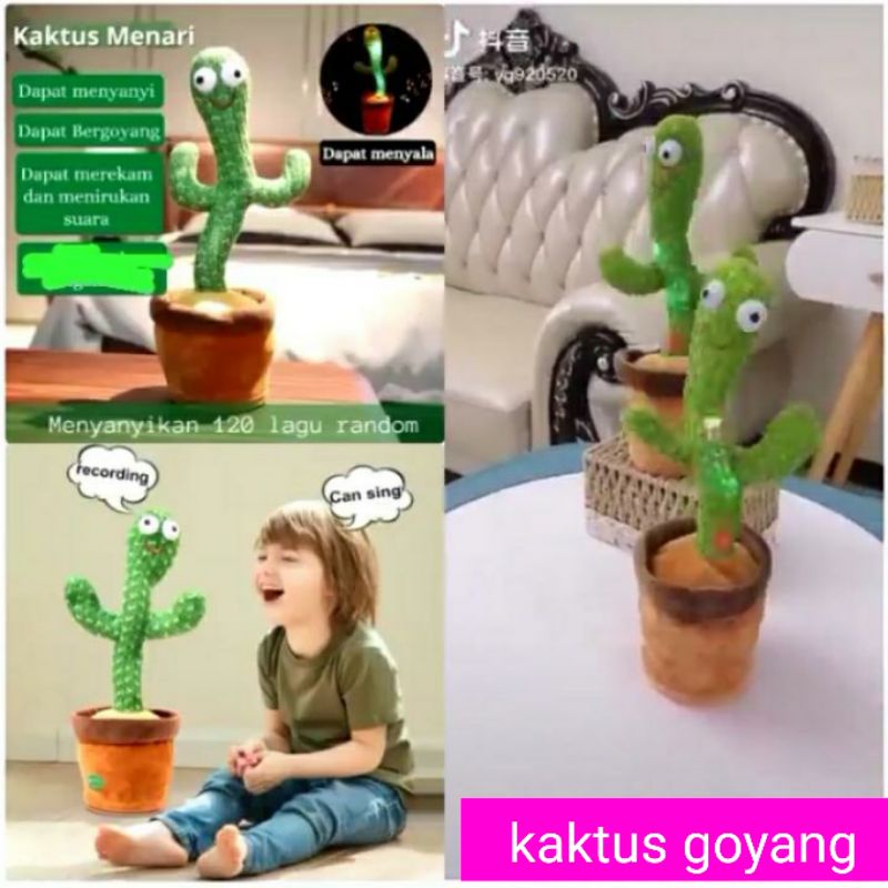 kaktus jogged/kaktus goyang
