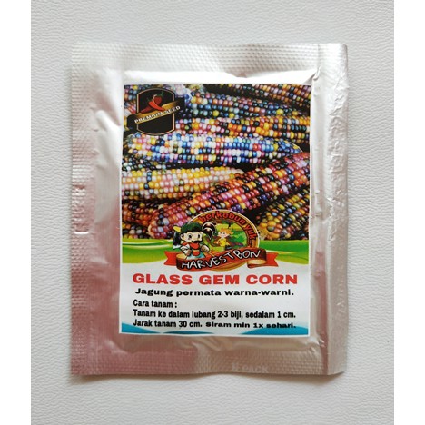 Benih Biji Jagung Warna Warni Permata Glass Gem Corn Pack - Harvestbon