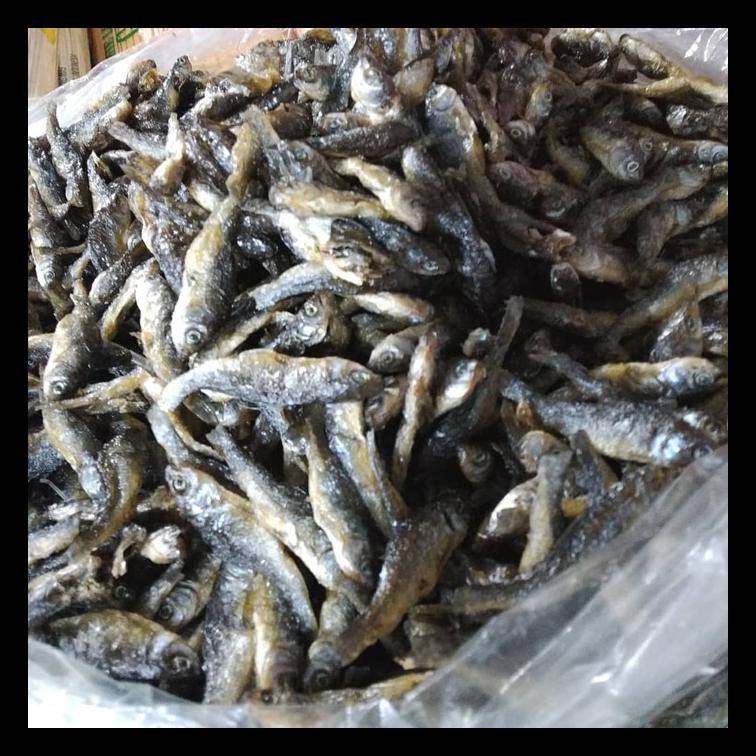 

BEST SELLER! IKAN DANAU BILIH PADANG (1KG) PALING MURAH