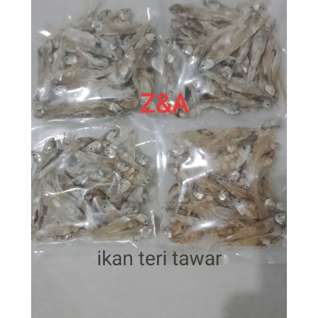 

ikan teri tawar